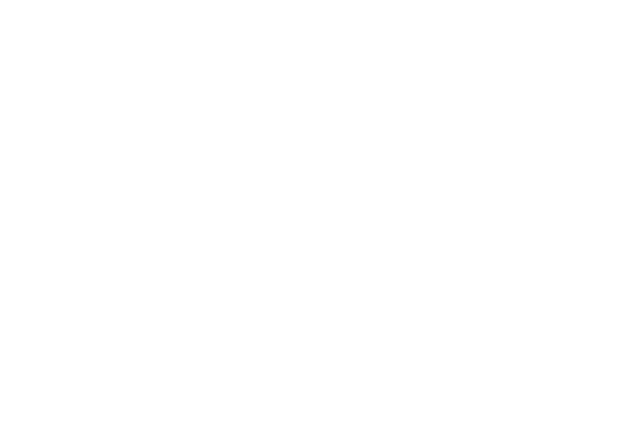 fast_trains