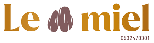 Plan de travail